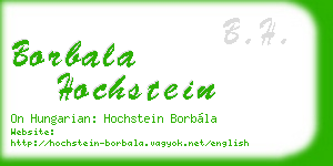 borbala hochstein business card